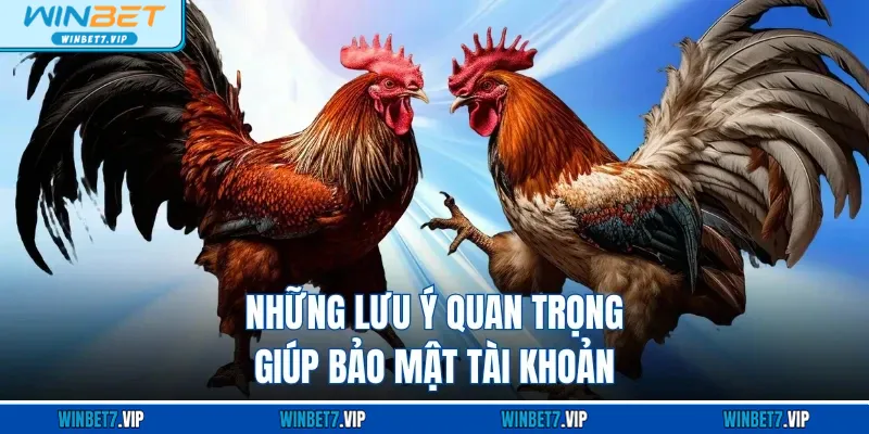 Đá Gà WS168 WINBET - Giải Trí Kịch Tính Đầy Màu Sắc Những lưu ý quan trọng giúp bảo mật tài khoản